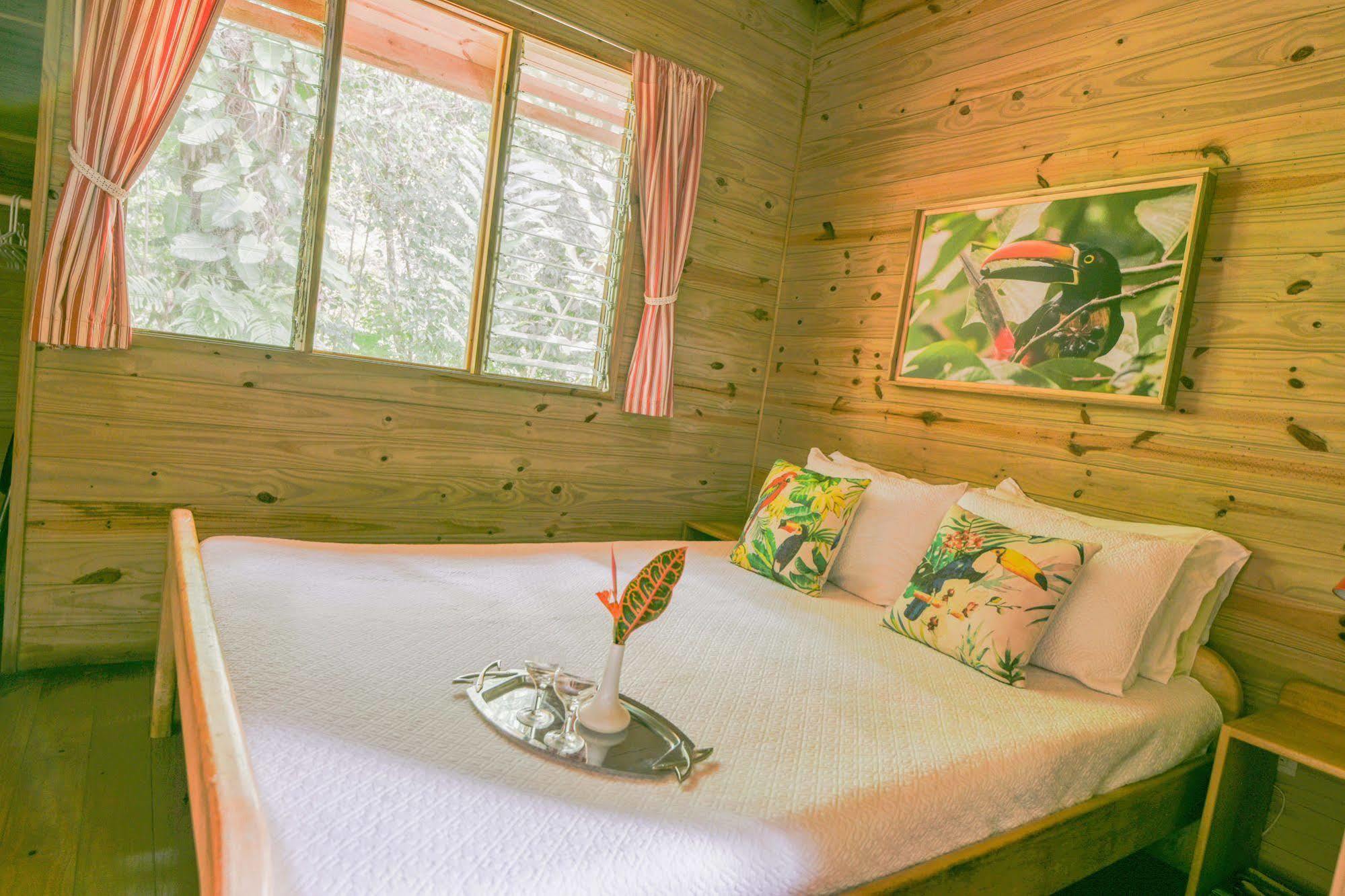 Hotel El Mono Feliz Ojochal Zewnętrze zdjęcie